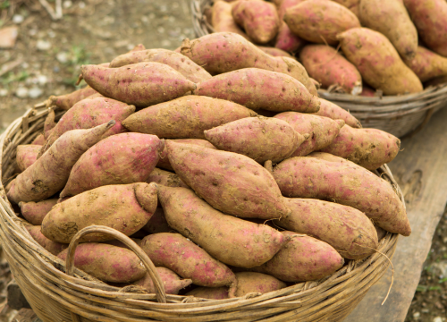 Difference Between Sweet Potatoes and Yams