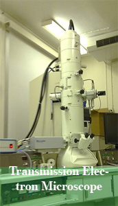 transmission-electron-microscope