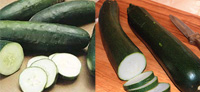 cucumber_zucchini