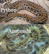 python-and-anaconda_s1