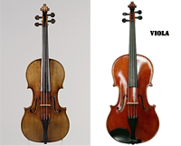 viola-violin