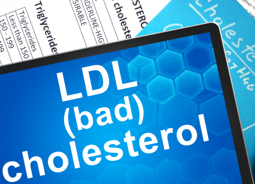 Difference Between Good and Bad Cholesterol (1)