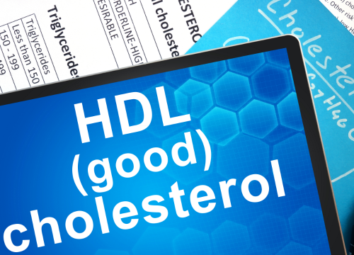 Difference Between Good and Bad Cholesterol