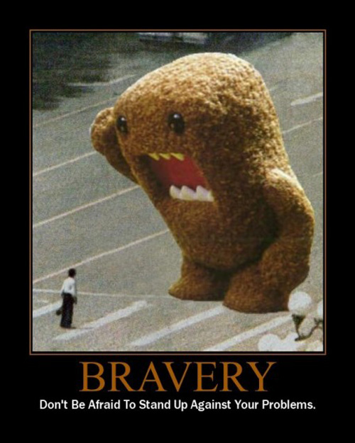 Difference Between Courage and Bravery-1