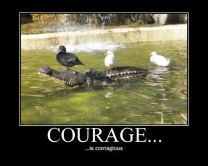 Difference Between Courage and Bravery