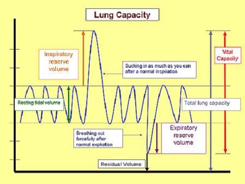 Difference Between Forced Vital Capacity and Vital Capacity