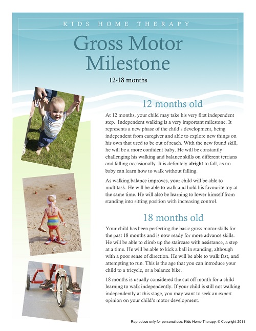 Difference Between Gross and Fine Motor Skills