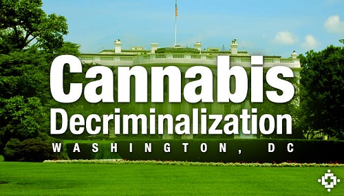Difference Between Legalization and Decriminalization-1