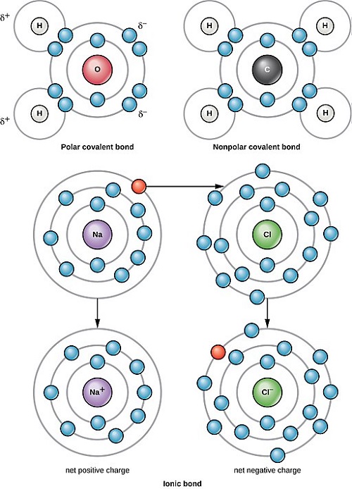Difference Between Non-Polar and Polar Covalent Bonds