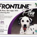 Difference Between Frontline and Frontline Plus-1