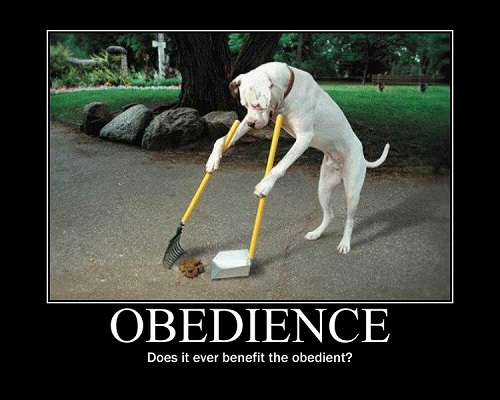 Difference Between Conformity and Obedience-1
