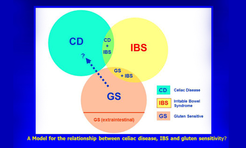 IBS and celiac disease