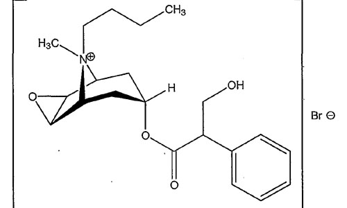hyoscine and hyoscyamine