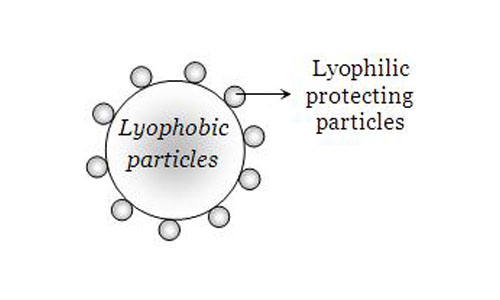 lyophilic and lyophobic