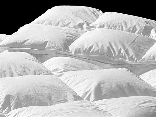 Quilt vs Comforter: What is the Difference