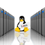 The Difference between Linux and Windows Hosting