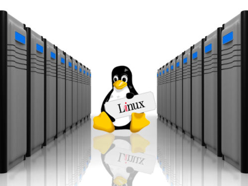 The Difference between Linux and Windows Hosting