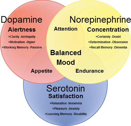 Difference between Serotonin and Dopamine-1