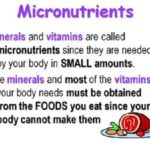 Difference between micronutrients and macronutrients-1