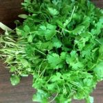 Difference Between Parsley and Coriander-1