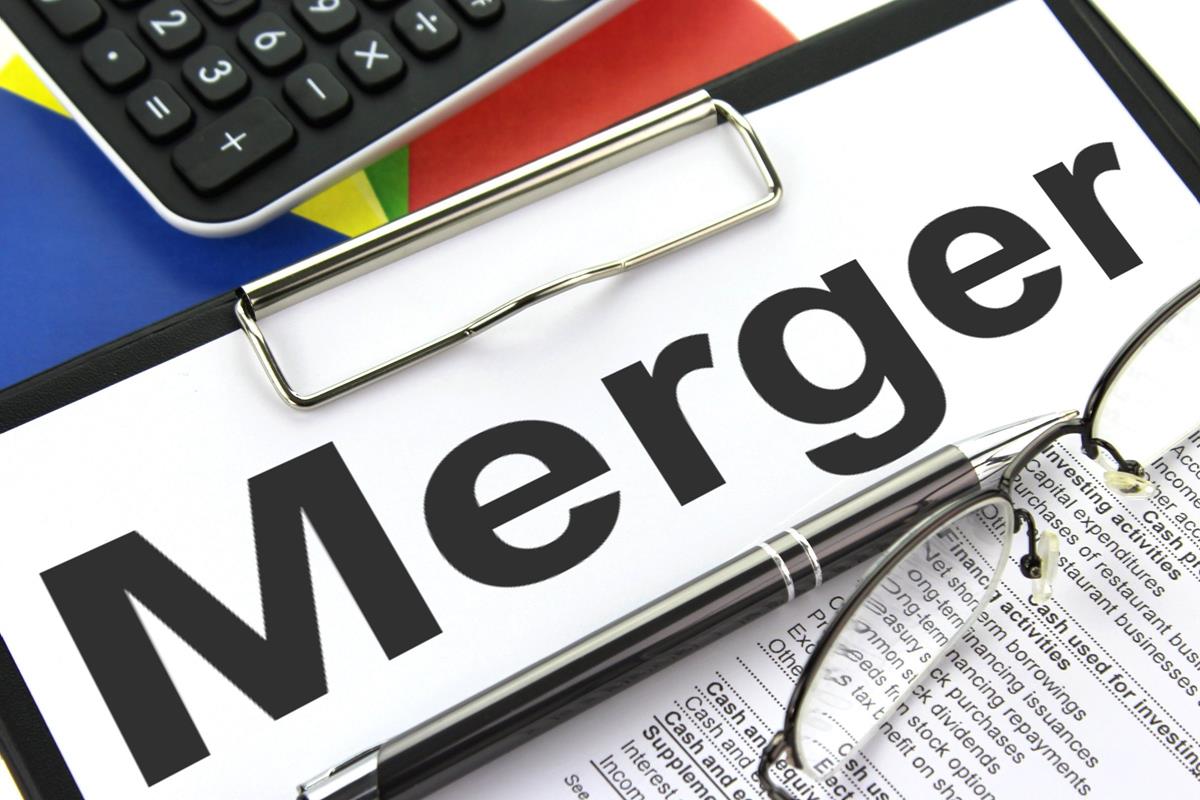 Difference Between Amalgamation and Merger
