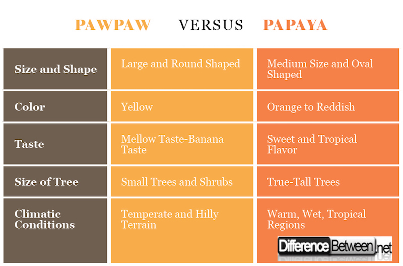 Difference Between Pawpaw and Papaya
