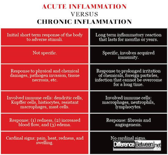 Acute Inflammation VERSUS Chronic Inflammation