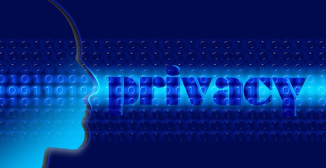 Difference Between Security and Privacy1