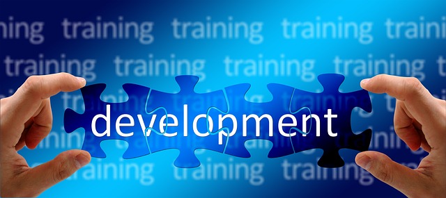 Difference Between Training and Development 