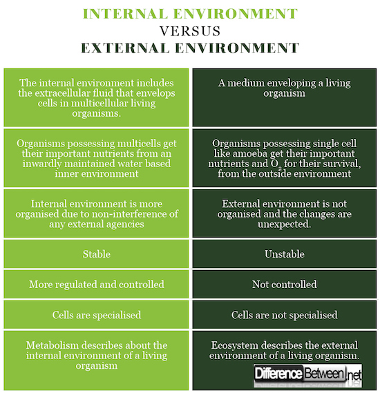 Internal environment VERSUS External environment