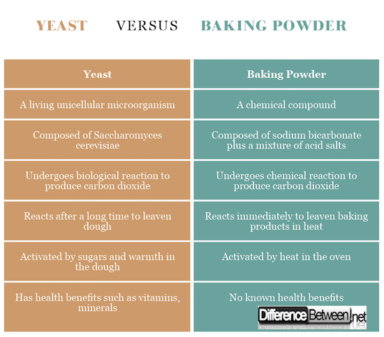 yeast VERSUS baking powder