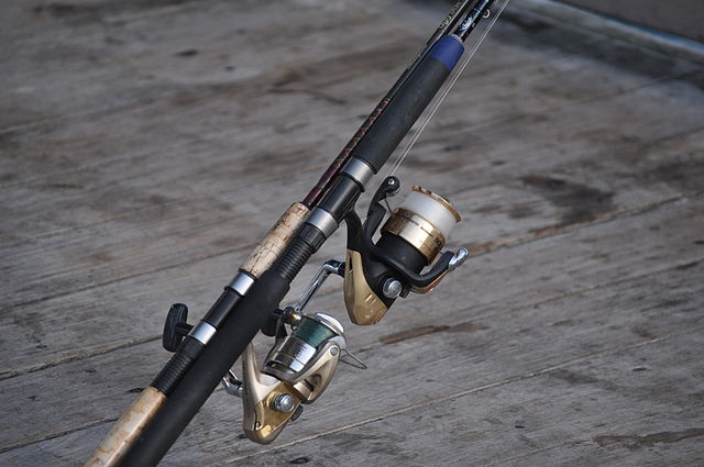 Difference Between Casting Rod and Spinning Rod