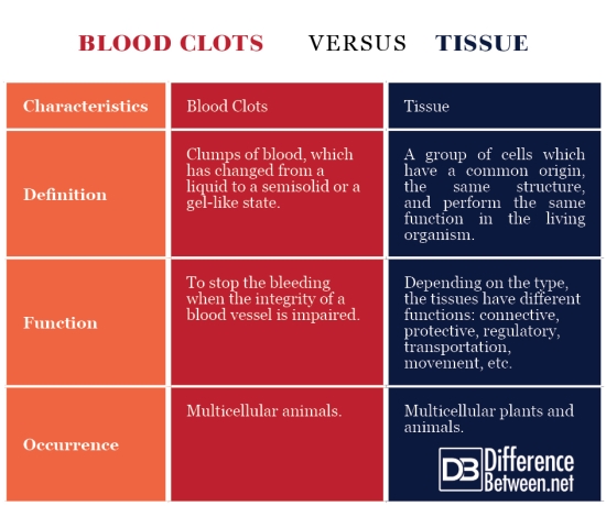 Difference Between Blood Clots and Tissue