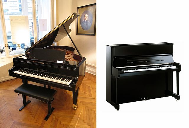 Differences Between  Piano and Casio