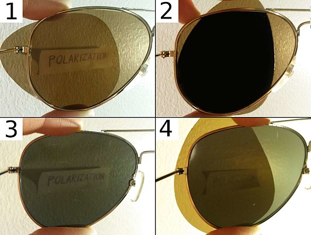 Difference Between Polarized and Non-Polarized Lens