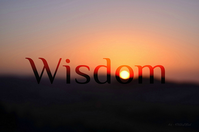 wisdom vs intelligence essay