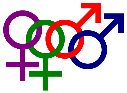 Differences Between Sexual Orientation and Gender Identity