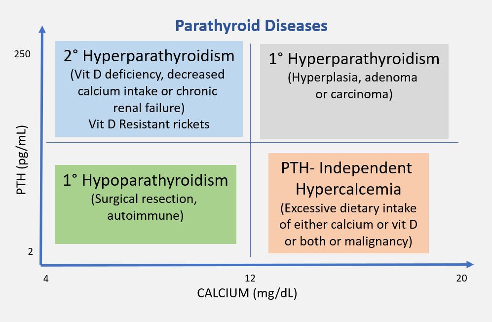 Difference Between Hyperparathyroidism and Hyperthyroidism