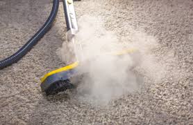 Difference Between Steam Cleaning and Carpet Shampooing
