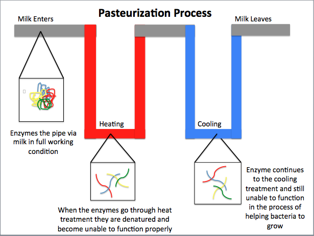Difference Between Sterilization and Pasteurization 