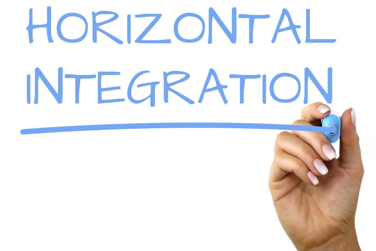 Difference Between Horizontal Integration and Vertical Integration