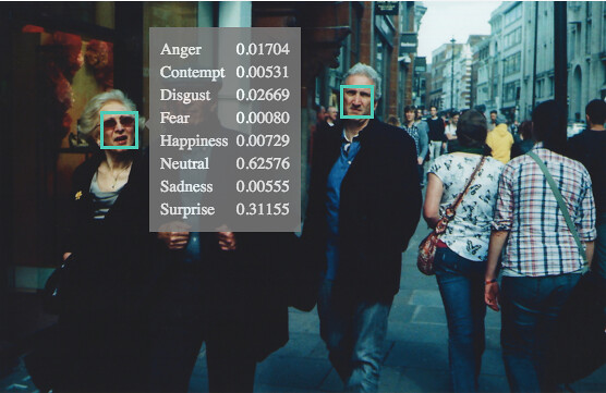 Difference Between Emotion Recognition in AI and Humans