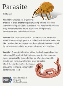 Difference Between Parasite and Host | Difference Between