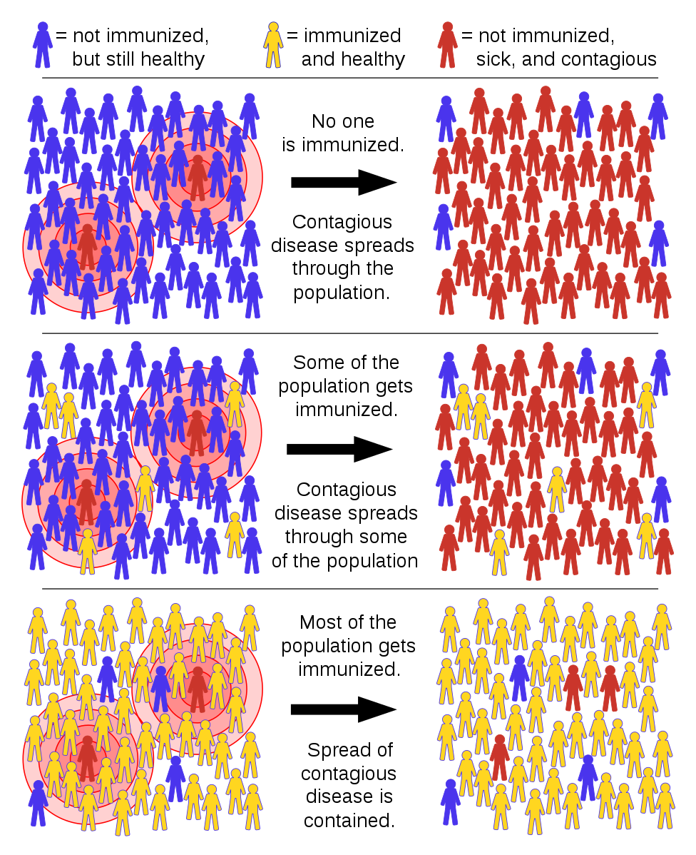 Difference Between Herd Immunity and Ring Immunity