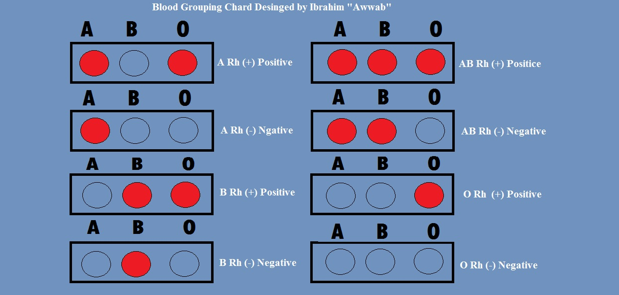 Difference between Blood groups
