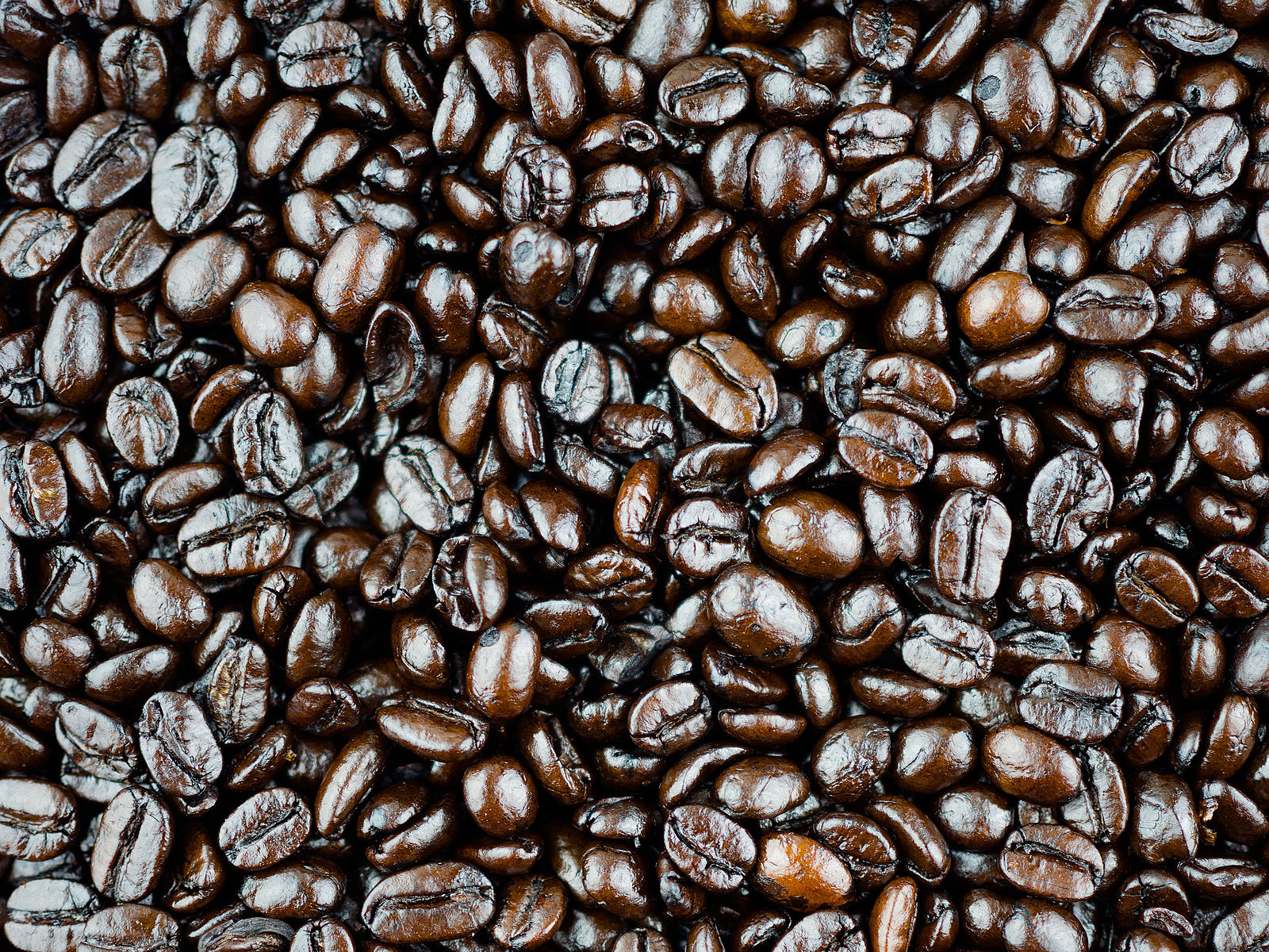Difference Between Dark Roast Coffee and Medium Roast Coffee
