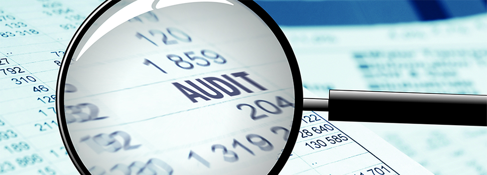 Difference between Tax and Audit