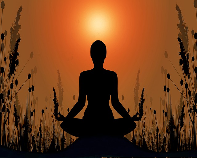 Difference Between Transcendental Meditation and Meditation1