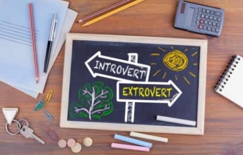 Difference Between Omnivert and Ambivert (1)