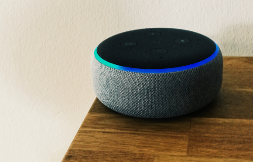 Difference Between Google Nest Mini and Amazon Echo Dot (1)